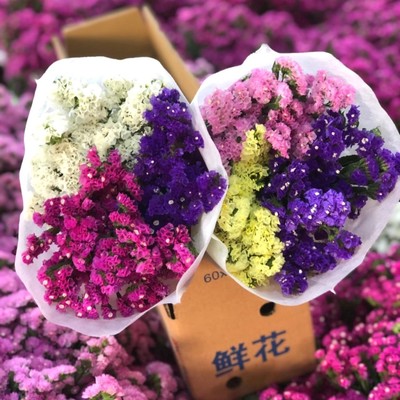 云南勿忘我满天星干花花束 永恒之美，装点生活