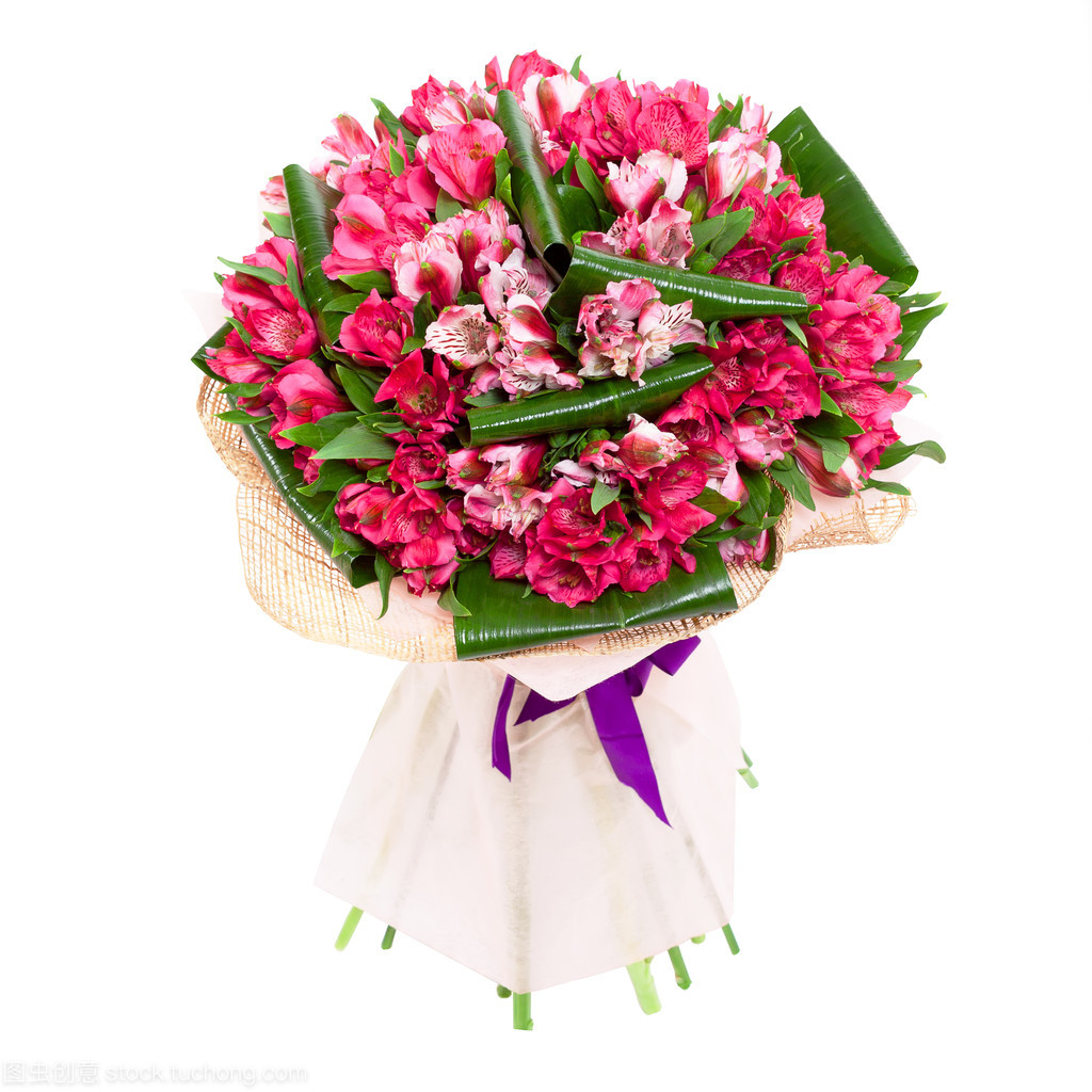 粉色郁金香 蕴藏心意的浪漫花卉礼品