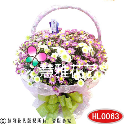 小雏菊花篮 一抹淡雅花语，织就你心动瞬间的生活序诗